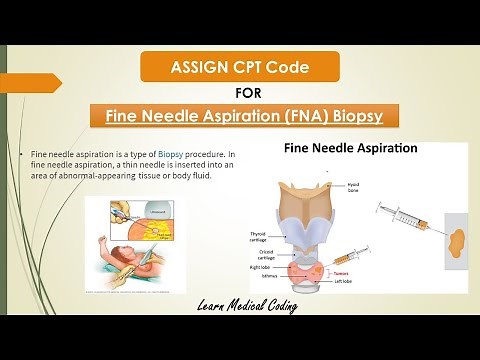 Fine Needle Aspiration CPT code 2020 | Fine Needle Biopsy CPT Code | Medical Coding.