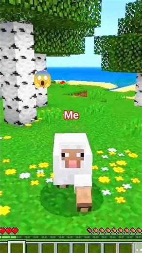 Minecraft but I'm a SHEEP! 🐑💎 #minecraft