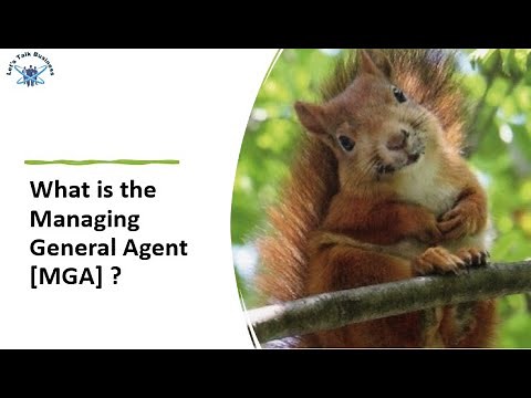What is the Managing General Agent [MGA] ?