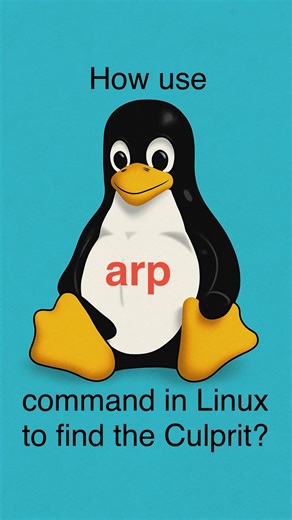 ‎Dawood Sajjadi (داود سجادی)‎ on Instagram: "How use #arp command in #Linux to find the culprit? #linux #bash #shell #admin #SRE #devops #education #commands #troubleshooting #english #job #interview"