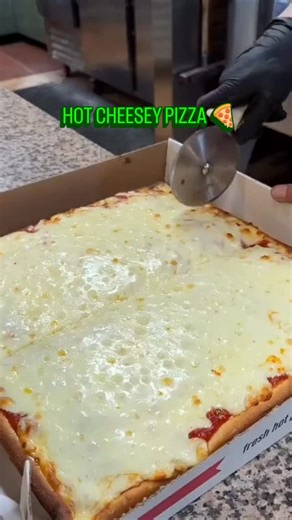 Hot Cheezy Pizza 🍕🔥 🧀 Melting layers of cheese happiness 🍅 Tangy sauce crispy base = Pure love 🤤 Each bite pulling endless cheese strings 🍕 Pizza night = Best night ever 📸 Snap before you bite… if you can! #HotCheezyPizza #CheeseLovers #FoodieDiaries #PizzaAddict #CheesyBite | Biryaniness