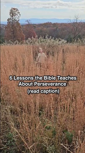 Here are 6 Lessons the Bible Teaches About Perseverance ⬇️
