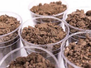 PCBs At East Park: New Report Details Extent Of Contamination