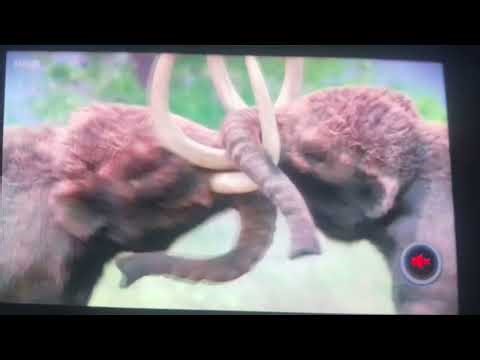 Prehistoric park season 2 episode 2 ice age monsters mastodon fight