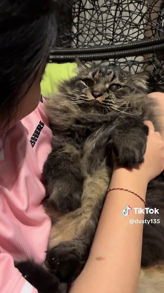 Yatty Soewandy on TikTok