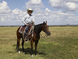 What Non-Texans Think About Texas, in Their Own Words