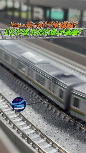 爆誕！E231系1000番代の6扉車が通過！ #鉄道 #train #jr #電車 #えびてつ #nゲージ #jr #湘南新宿ライン #東海道線 #e231系 #通過 #jr東日本 #宇都宮線