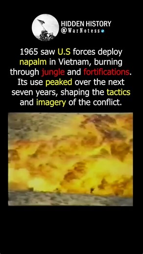 The introduction of NAPALM to Warfare🔥🔥 #facts #history