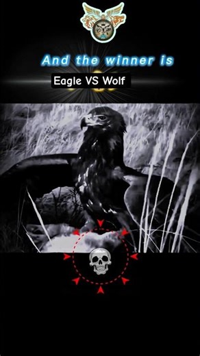 Eagle vs Wolf final fight edit!😱 #37
