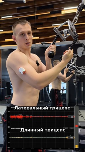 Грамотная прокачка трицепса💪🏼За персональным планом обращаться:@TrainerSmirnoVV 🤝
