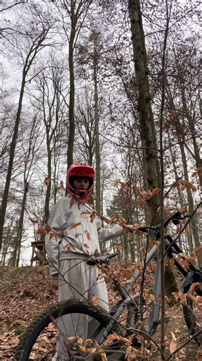 Mountain Biking Adventures: Downhill and Freeride in Germany