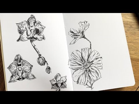 Sketching, hobbies, and organizing my art room