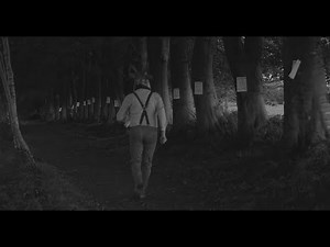 Beluga Lagoon - Rainbows (Official Music Video)