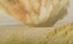 Remember When An Oregon Town Blew Up A Beached Whale With A 1,000 Pounds Of Dynamite Back In 1970? | Whiskey Riff