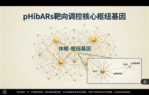 文献学习【Science 2025.7】－冬眠哺乳动物的基因组趋同揭示了大脑代谢调控的遗传学基础