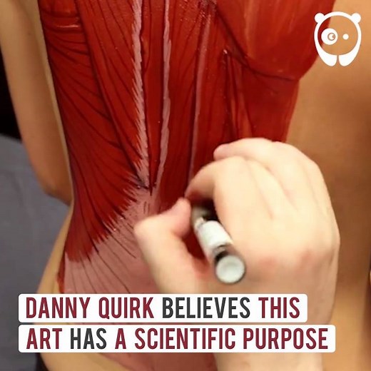 Realistic body anatomy art by Danny Quirk Artwork | Bored Panda Art