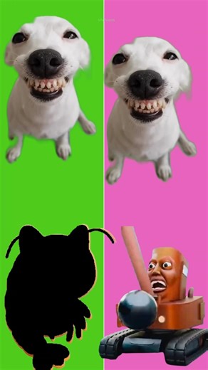 Wrong eyes challenge DAME TU COSITA Funny Puzzle Wrong Heads