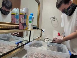 Spawn to bulk Tutorial (s2b)