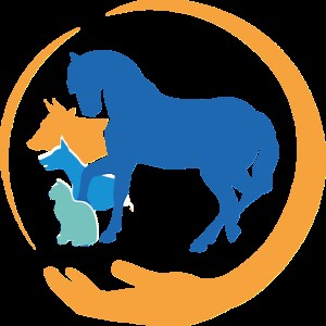 IFOA Barcelone - Ifoa : institut de formation d'osteopathes animaliers