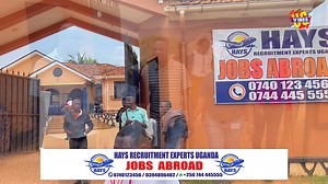 16K views · 543 reactions | Pr Bugembe flagging off and praying for a team of people At hays recruitment expert offices to come and start work here in Dubai | Vibes Ug | Facebook