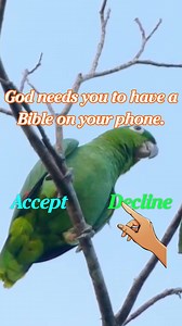 Wake me up with the word of God. 10 minutes a time, 2 times a day. Get closer to God! | Light Bible