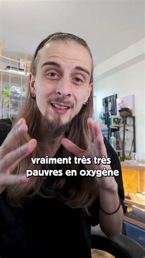 Elle crie sous l'eau ?! 🦎😱