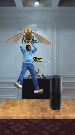 Alexa: Troubleshooting Your Music Requests