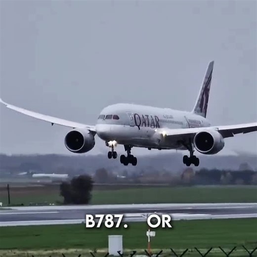 Mastering the Airbus A330 Butter Landing Techniques