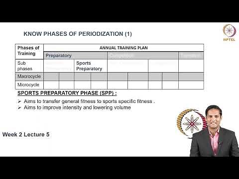 Periodization in sports 2