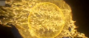 201K views · 4.7K reactions | Perfect World Episode 228 Sub Indo #donghua #btth #PerfectWorld | DonghuaKing | Facebook