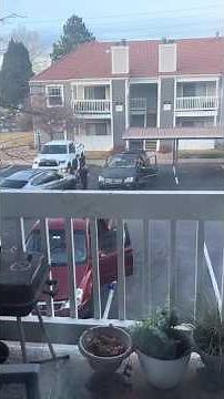 Two Men Gets Emotional And Starts Playing Bumper Cars