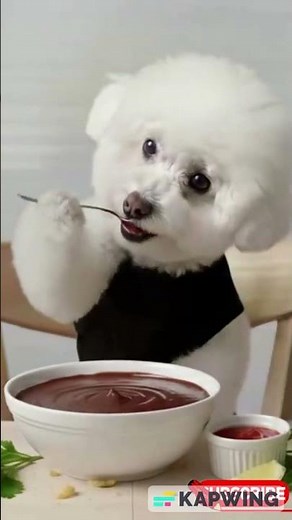 This Dog Loves Chocolate Pudding Too Much! 🐕🥄 | The Cutest Eater on Earth