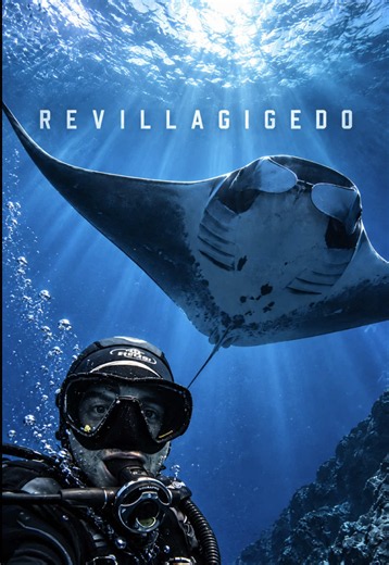 Archipiélago de Revillagigedo: reserva marina más grande de Norteamérica