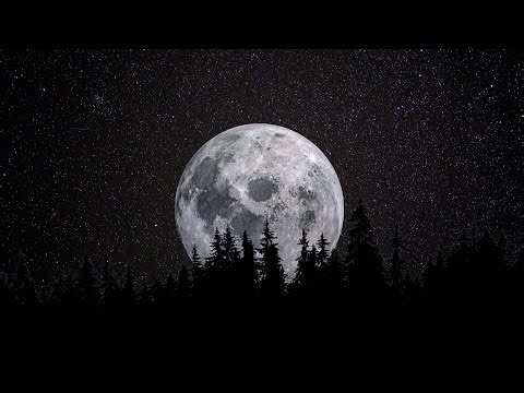 Typewrite Lesson (Super Slowed + Reverb)