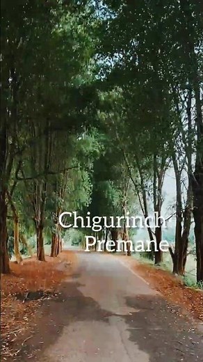 Ye kannulu chudani chitrame. #love #song #melody #song #lovesong