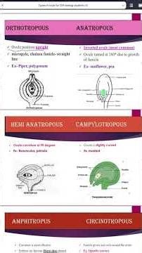 Types of Ovules | Class 12 Biology | Important Board Exam Topic | Dr. Ankita Maithani