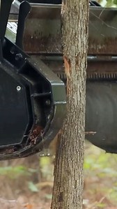 Cat® mulchers are locked in on high-performance cutting. And they’re not just about shredding trees and shrubbery. Mulchers are also great for: •Land reclamation •Foliage removal from building construction sites •Shredding pruned material and organic waste https://bit.ly/45NIXZH | Cat Construction