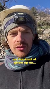 Creating an OLIVE FARM on our OFF-GRID HOMESTEAD