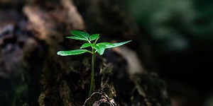 Direct Access | Specialized Physical Therapy