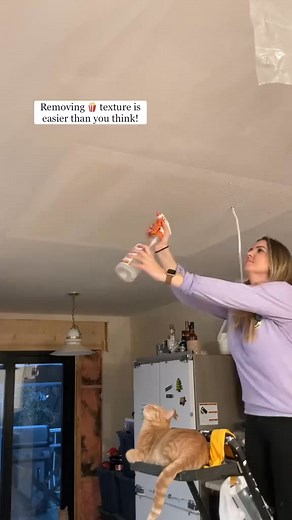 If 🍿ceiling texture is not your vibe, you need this scraper in your l | Diego Norris