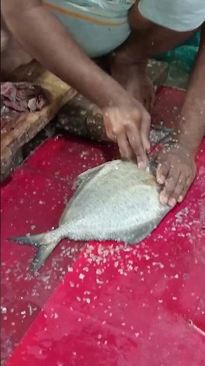 How to Fillet a Fish in Under 5 Minutes!