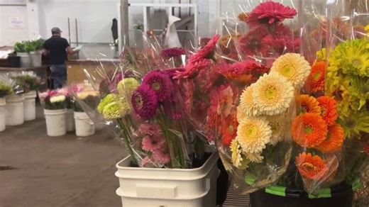 San Francisco Flower Market moving and shifting its business plan