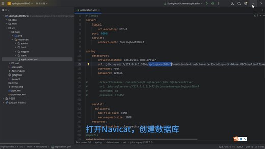SpringBoot Vue项目运行教程