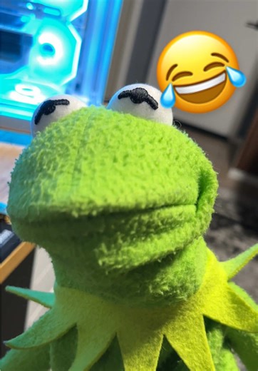 Hope you feel better ❤️‍🩹 #fyp #kermit #roast #motivation | Kermit The Frog