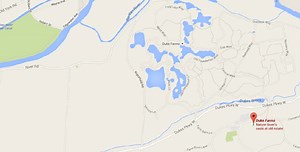 Duke Farms Petitions To Demolish 'Turn-Of-The-Century' Mansion