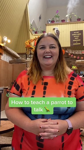 How to Teach a Parrot to Talk 🦜