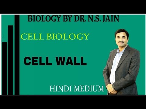 Cell Wall (Cell Biology) | Hindi Medium
