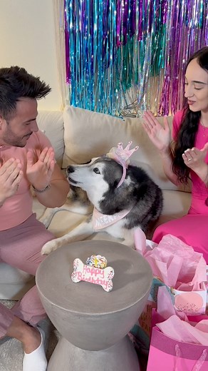 3.5M views · 10K reactions | HAPPY BIRTHDAY MEEKA!  | Meeka The Husky | Facebook
