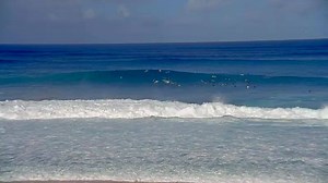 19K views · 613 reactions | Checkout the surf from our new HD surf cams from over 400 locations and get expert 17 day forecasts at over 3,000 surf spots across the globe. Try it out for free! | Surfline | Facebook