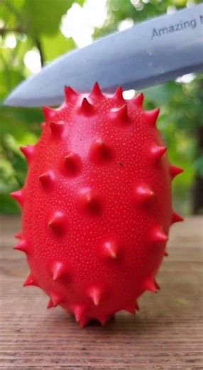 Amazing alien fruit?